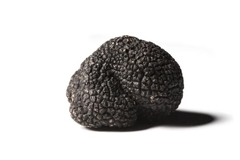 Black Norcia truffle Black Norcia Truffle(Tuber Melanosporum Vitt)