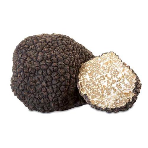 aestivum Summer Truffle
(Tuber Aestivum Vitt)