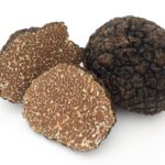 Fall Winter Truffle
(Tuber uncinatum Chatin)